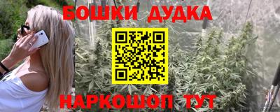 apvp Нальчик
