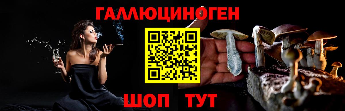 Дальнереченск  что такое   Вход с VPN  Галлюциногенные грибы Magic Shrooms  Галлюциногенные грибы прущие грибы 